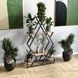 Дизайнерский стеллаж лофт на 6 открытых полок для растений Стойка в форме ромба Сонома 01119 фото